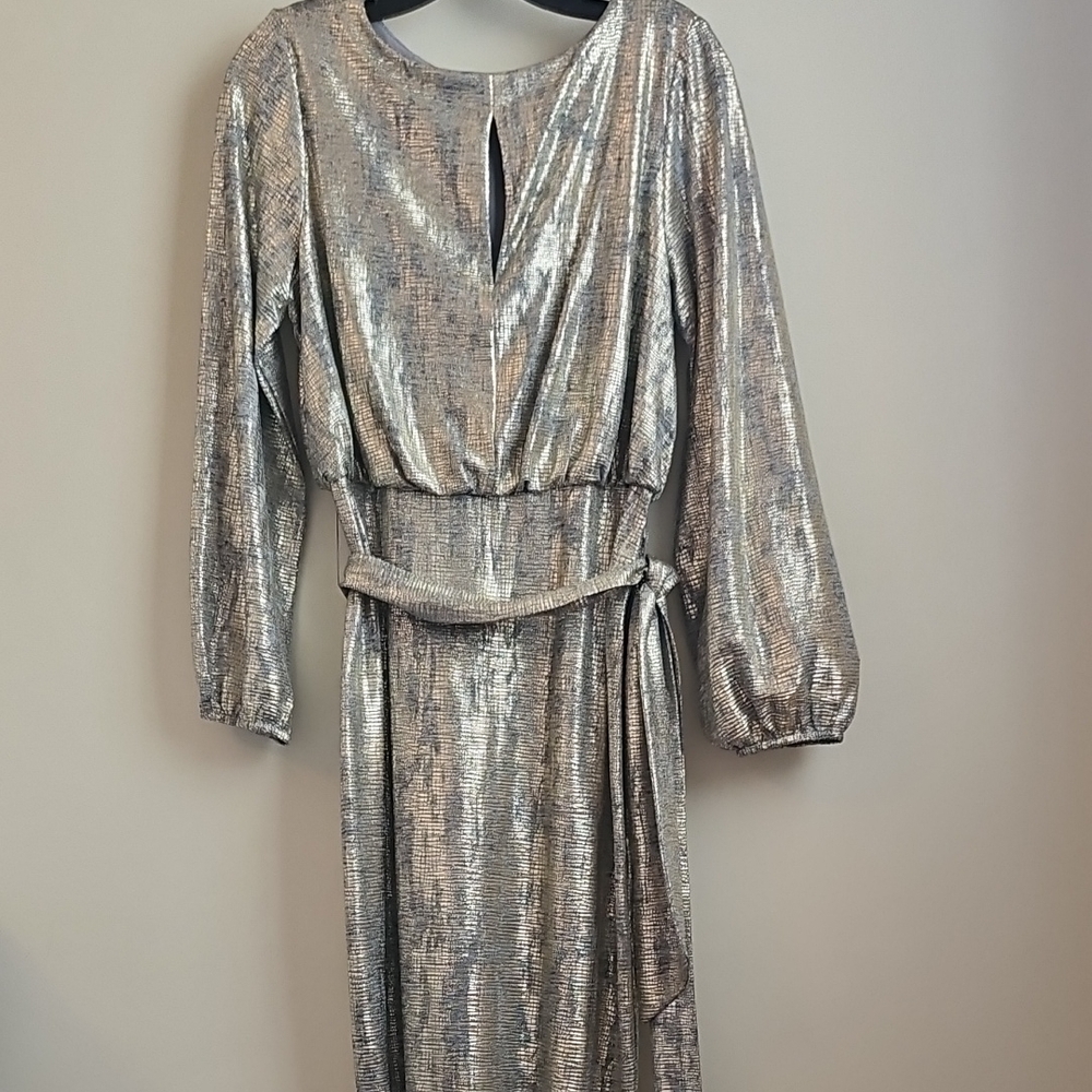 Elegant Silver Dress
